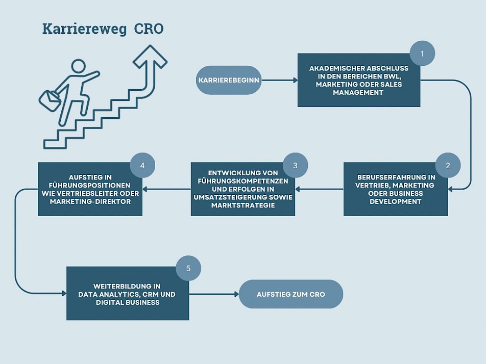 Karriereweg des CRO