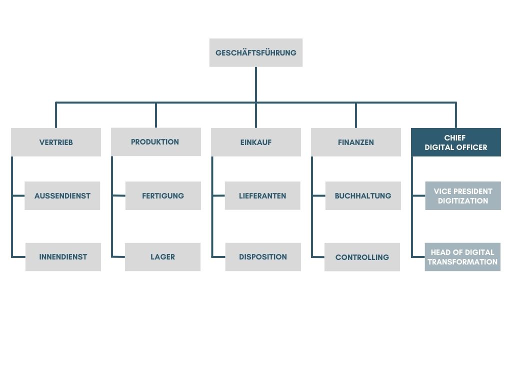 Organigramm - Chief Digital Officer