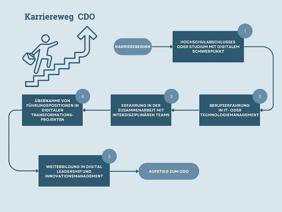 Karriereweg zum Chief Digital Officer