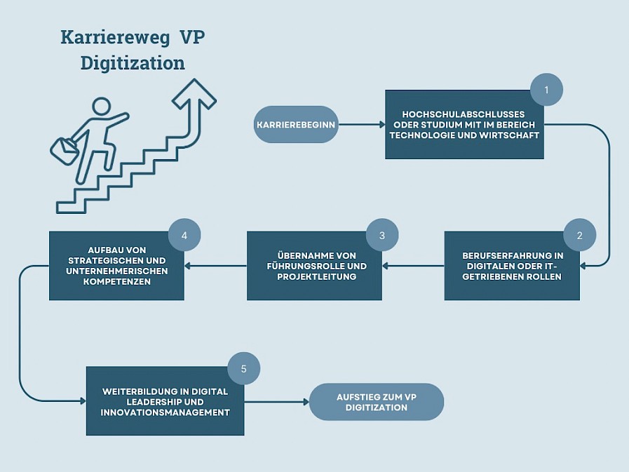 Karriereweg zum Vice President Digitization