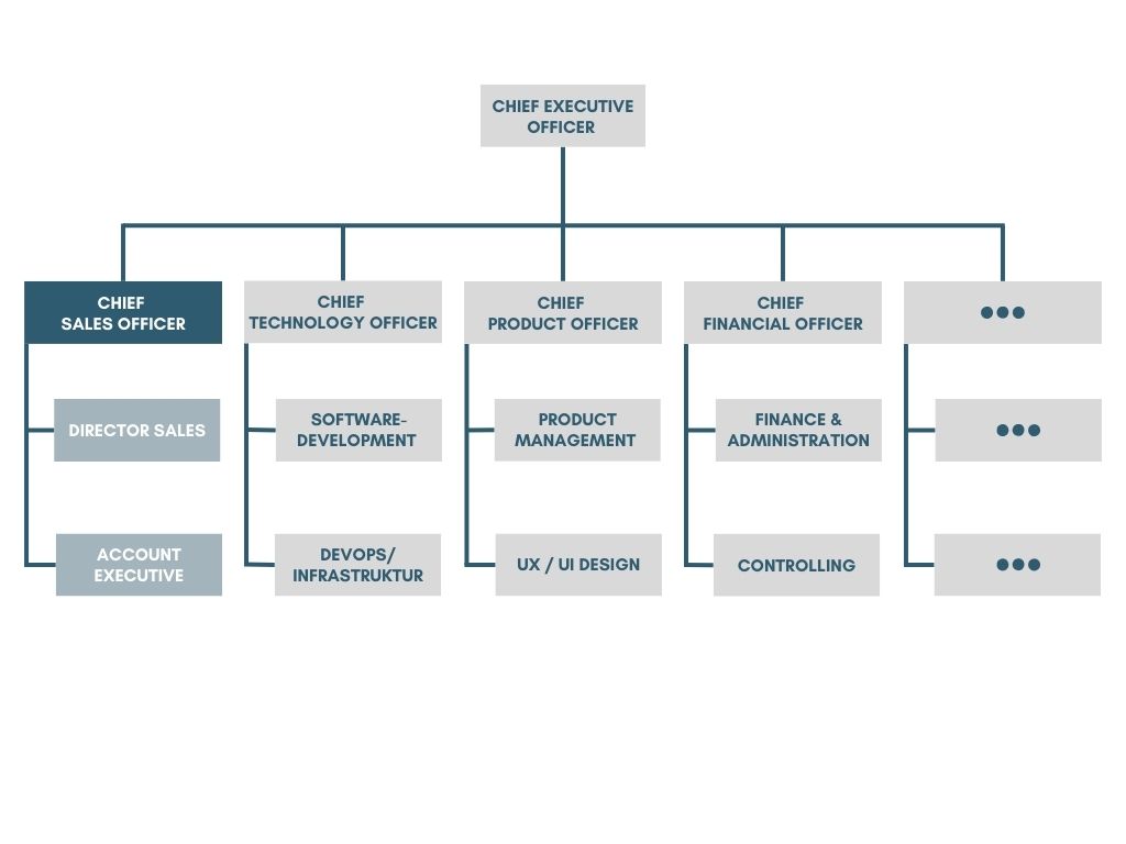 Organizational chart - Chief Sales Officer