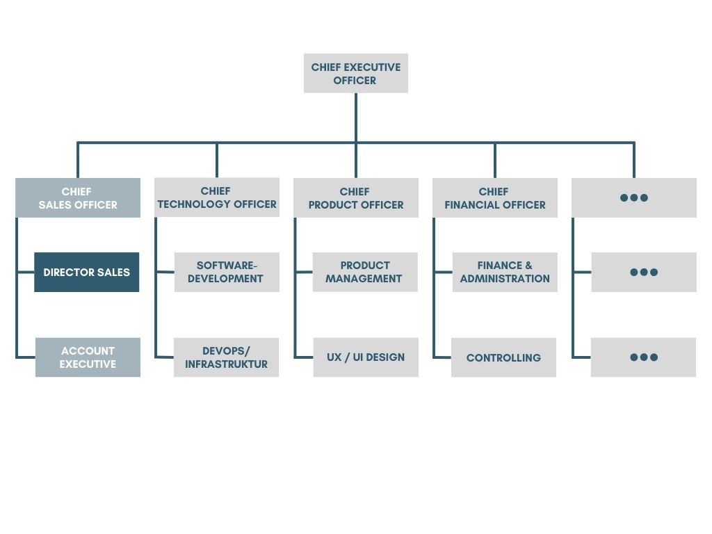 Organizational chart - Director Sales