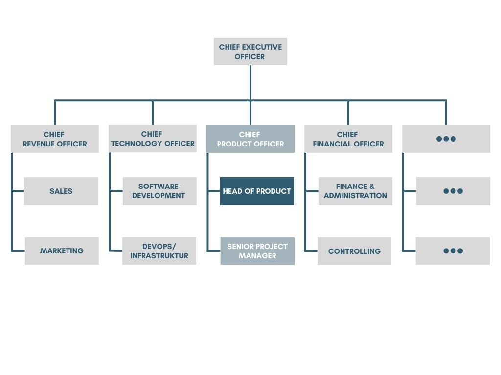 Organizational chart - Head of Product