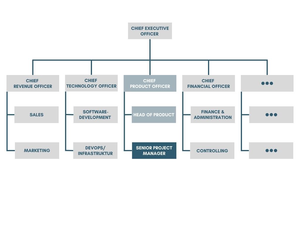 Organizational chart - Senior Project Manager