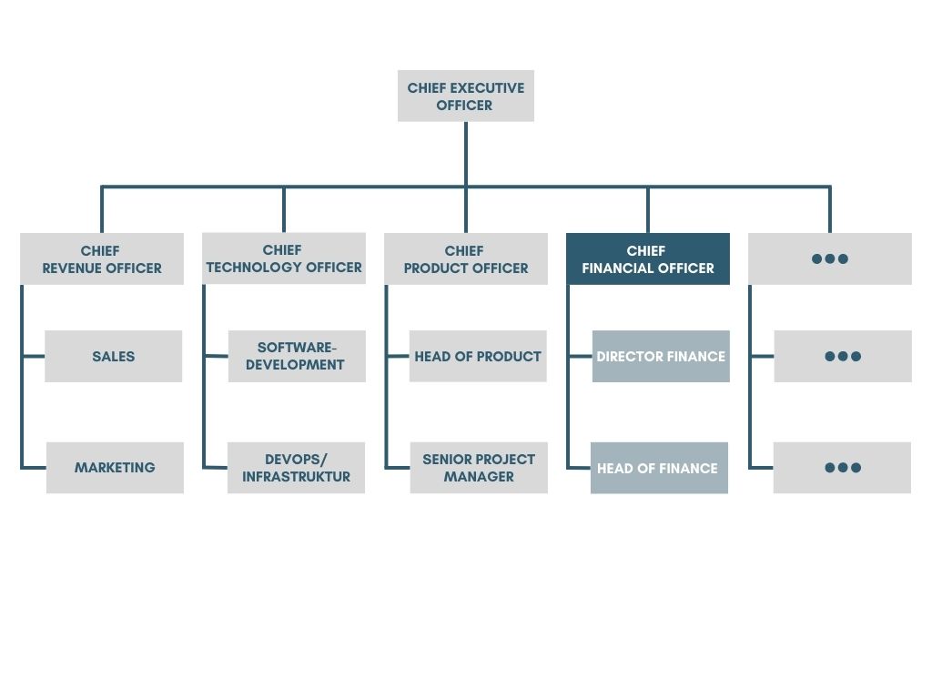 Organizational chart - Chief Financial Officer