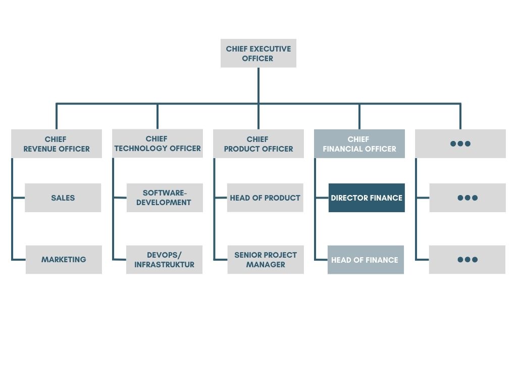 Organizational chart - Director Finance