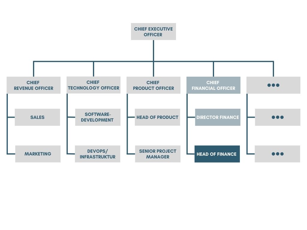 Organizational chart - Head of Finance