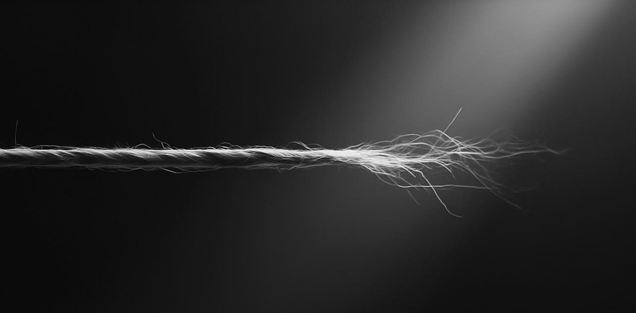 Loyalty Is No Substitute for Clarity